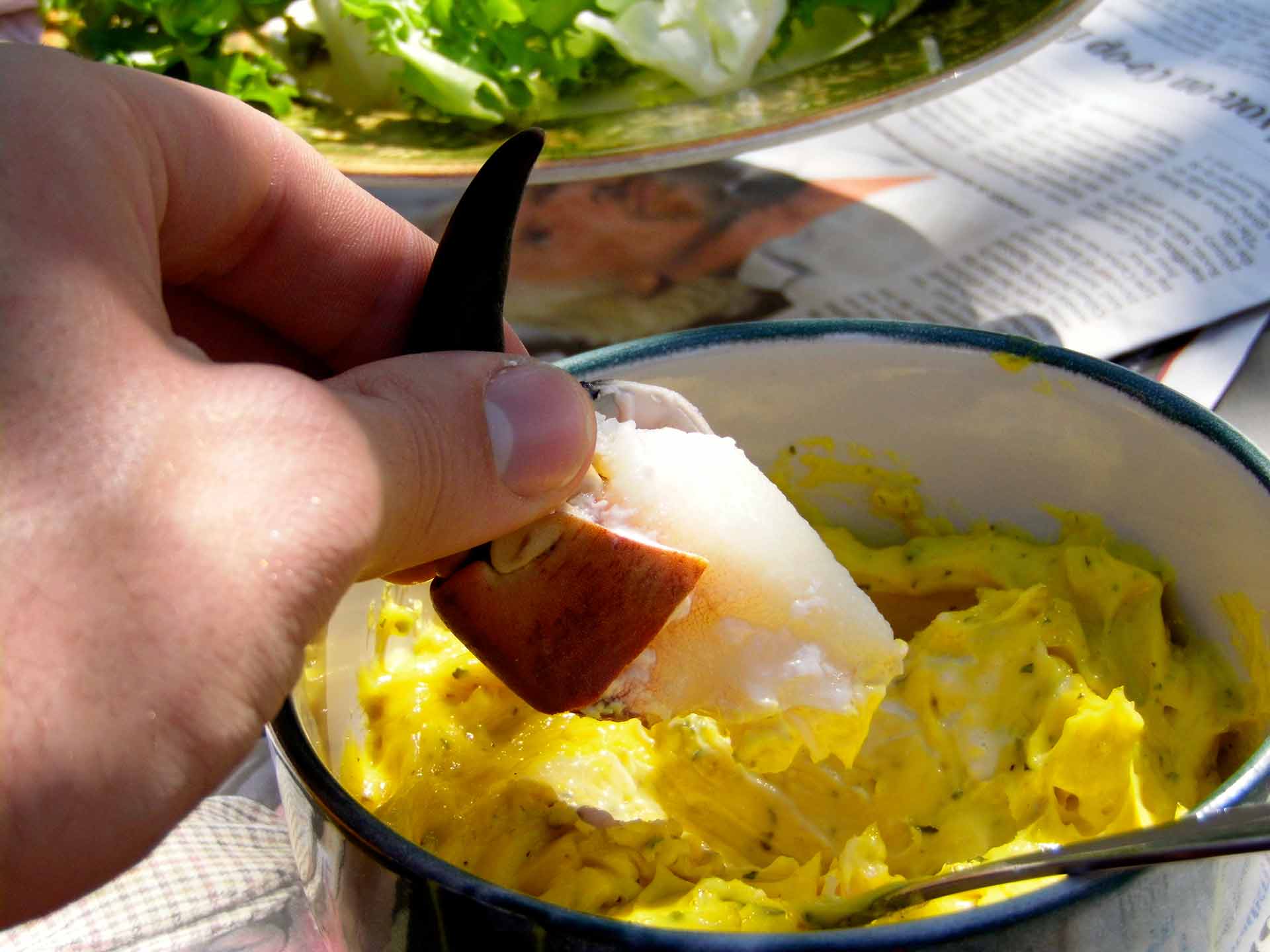 Garlic-Mayonnaise-image